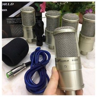 Mic Thu Âm Cao Cấp AQTA AQ220