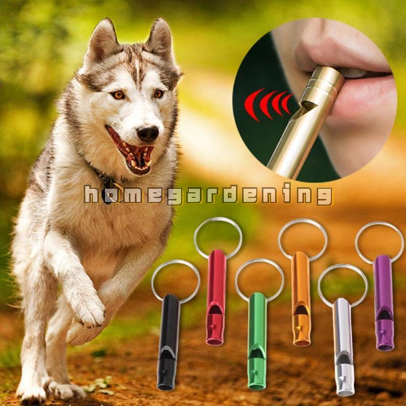 Còi sinh tồn mini tiện lợi cho dã ngoại