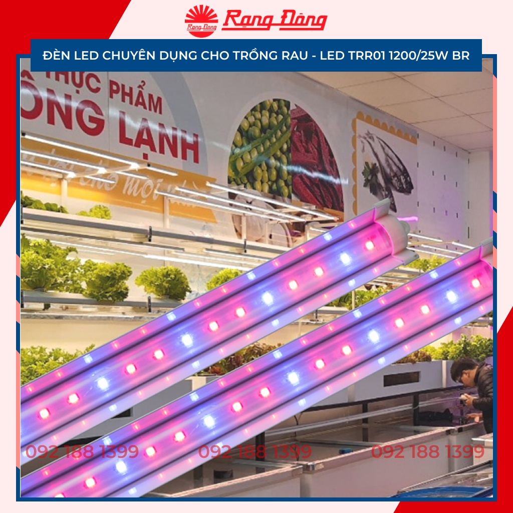 Đèn LED chuyên dụng cho trồng rau Rạng Đông, ánh sáng xanh, đỏ, Model: LED TRR01 1200/25W BR (30B/70R)