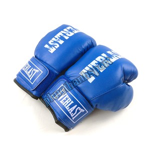 Găng đấm boxing 10oz Everlast (Xanh)