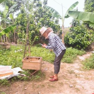 MŨ CAO BỒI CHỐNG ONG ĐỐT.