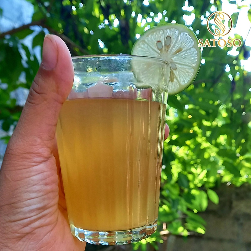 Mật ong lên men nguyên bản SATOSO bổ sung lợi khuẩn cho đường ruột SA138