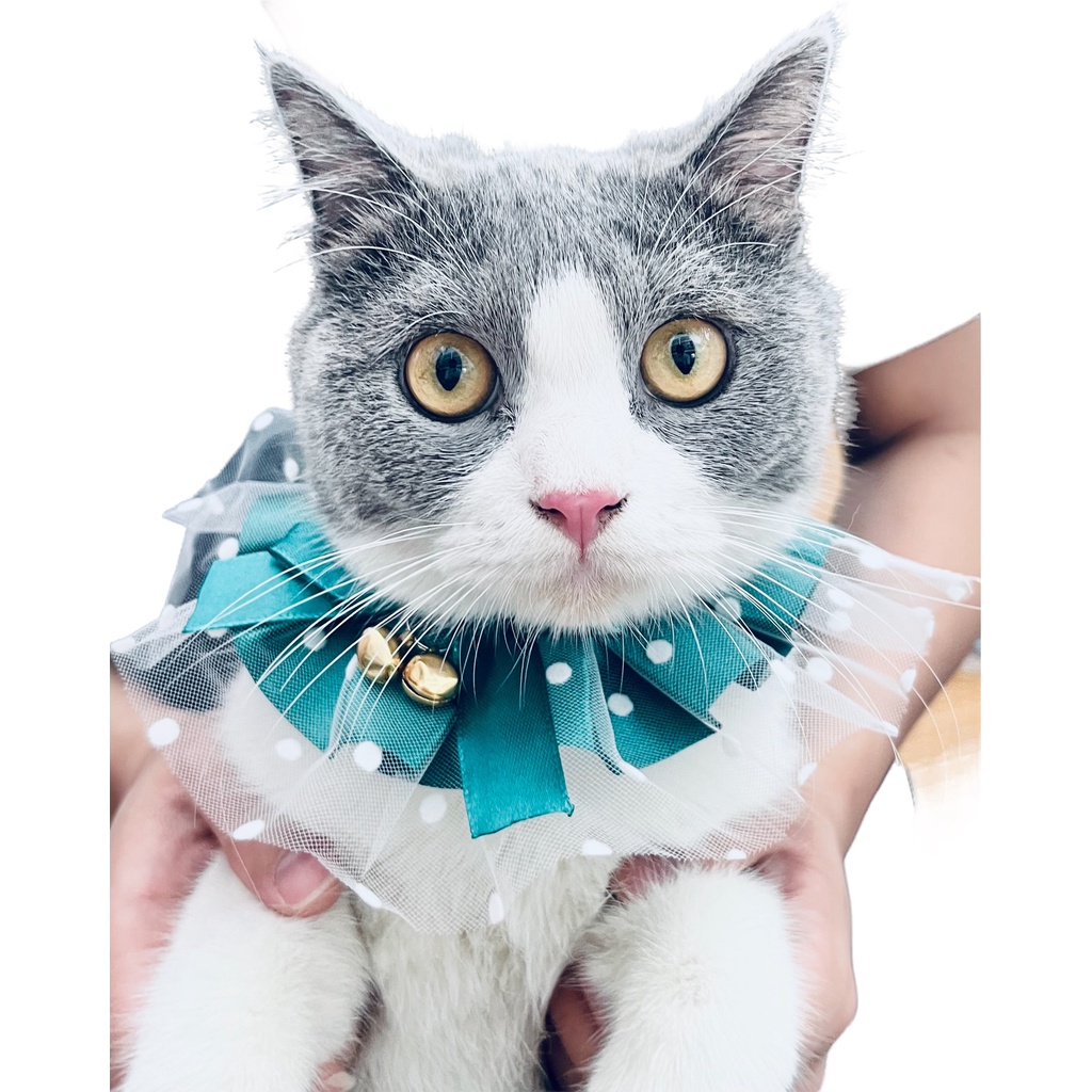 Yếm đeo cổ ren kèm chuông độc đáo cho thú cưng