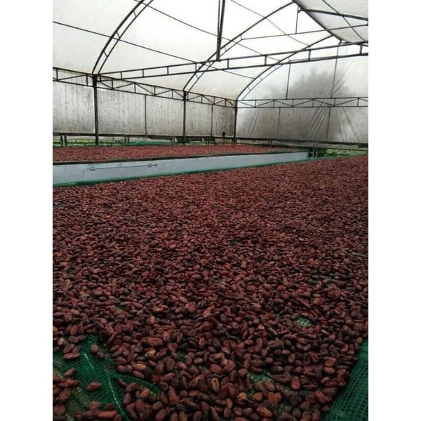 Hủ 500g bột ca cao nguyên chất daklak