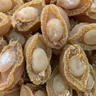 Bào Ngư 30gram