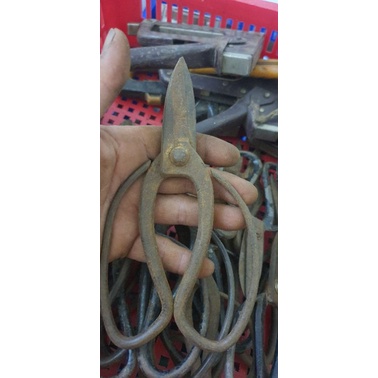 Kéo nhật bãi chưa vệ sinh