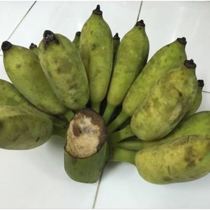 1 nải chuối xiêm x.a.n.h Bến Tre