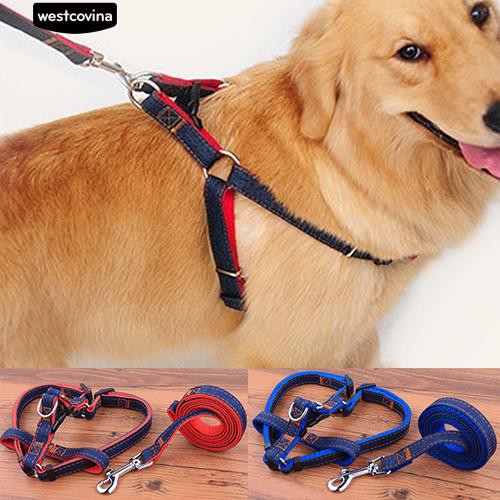 Dây Dắt Chó Đi Dạo Tiện Lợi