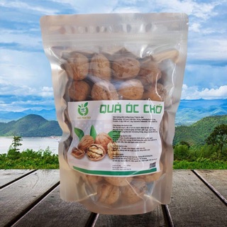 QUẢ ÓC CHÓ MỸ