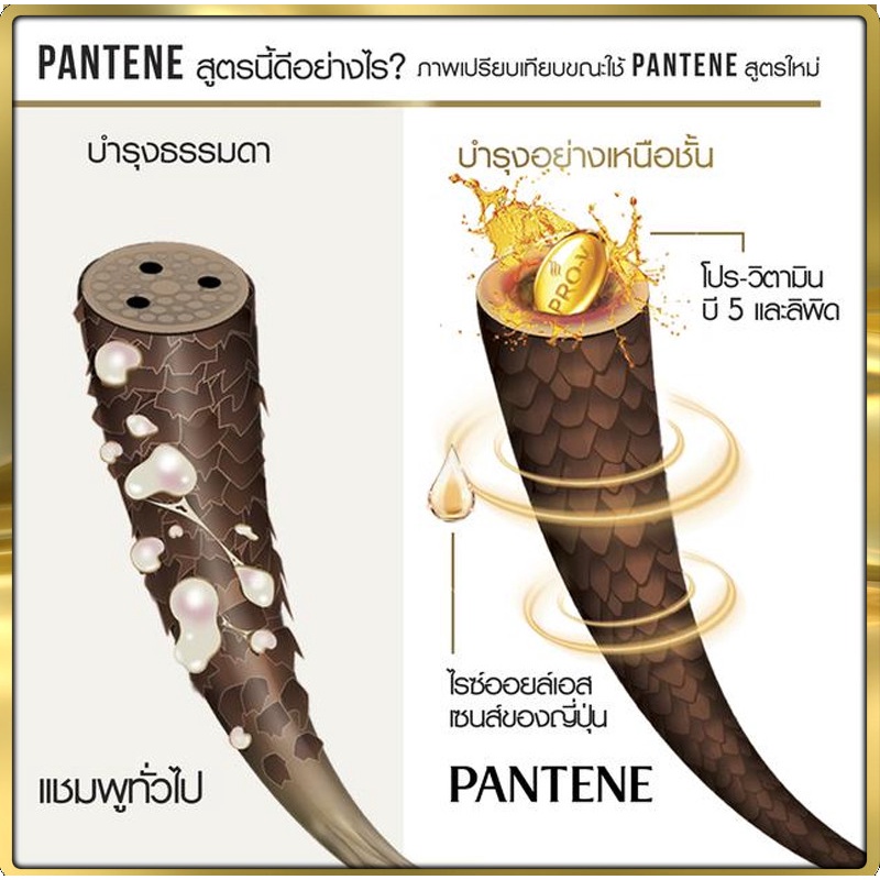 Dầu Gội PANTENE. Suôn Mượt Óng Ả / Ngăn Rụng Tóc (Nhập Khẩu Thái Lan)