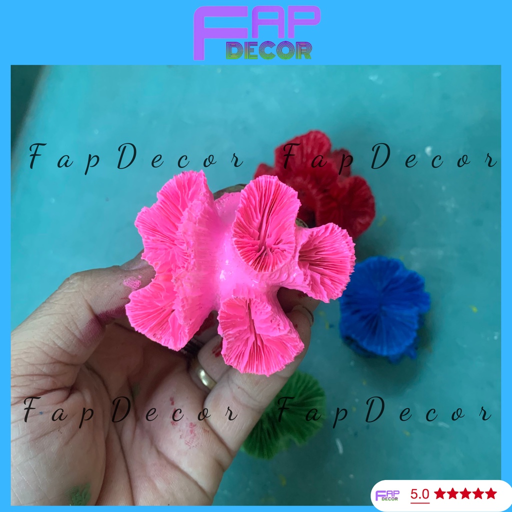 SAN HÔ HẢI QUỲ PHONG THỦY PHỐI MÀU SIÊU ĐẸP, TRANG TRÍ BỂ CÁ. NHÀ CỬA - FAPDECOR