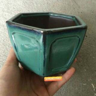 Chậu  bonsai để  bàn 33k