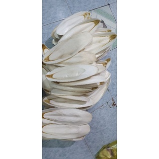 1 cái nang mực khô , size 23cm - 28cm