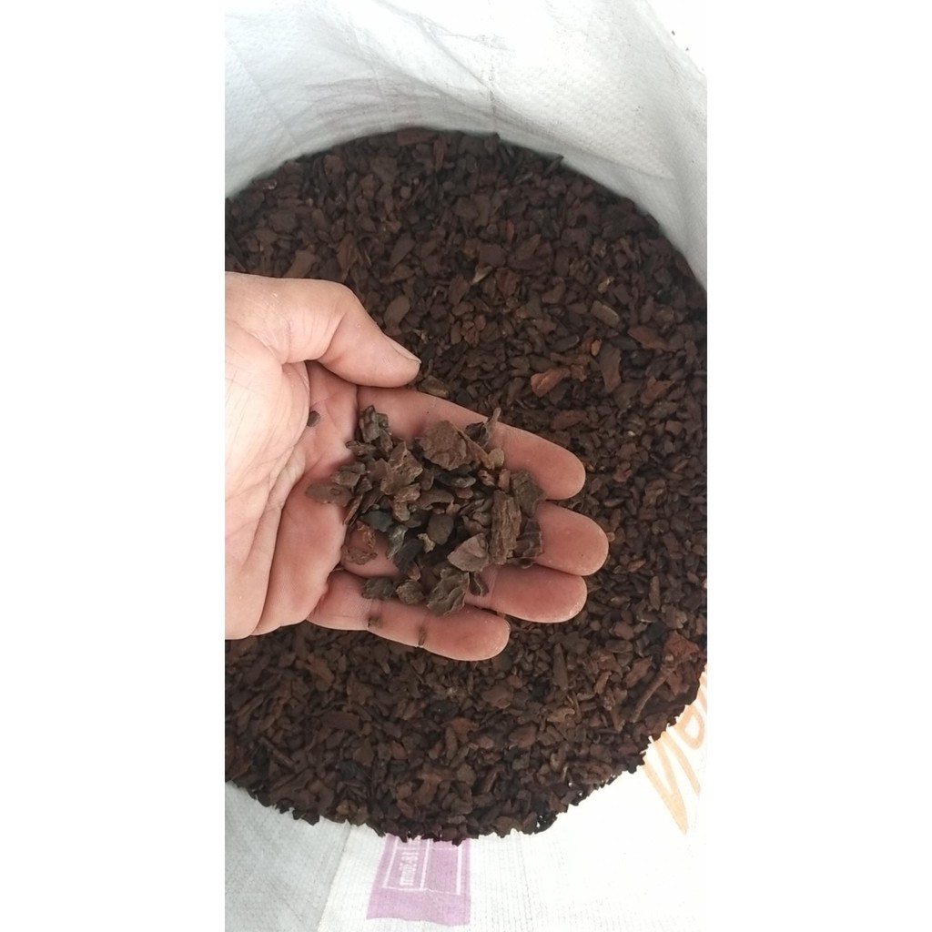 1Kg Vỏ thông New Zita loại A+ (Plus A+) xử lí hấp nhiệt.