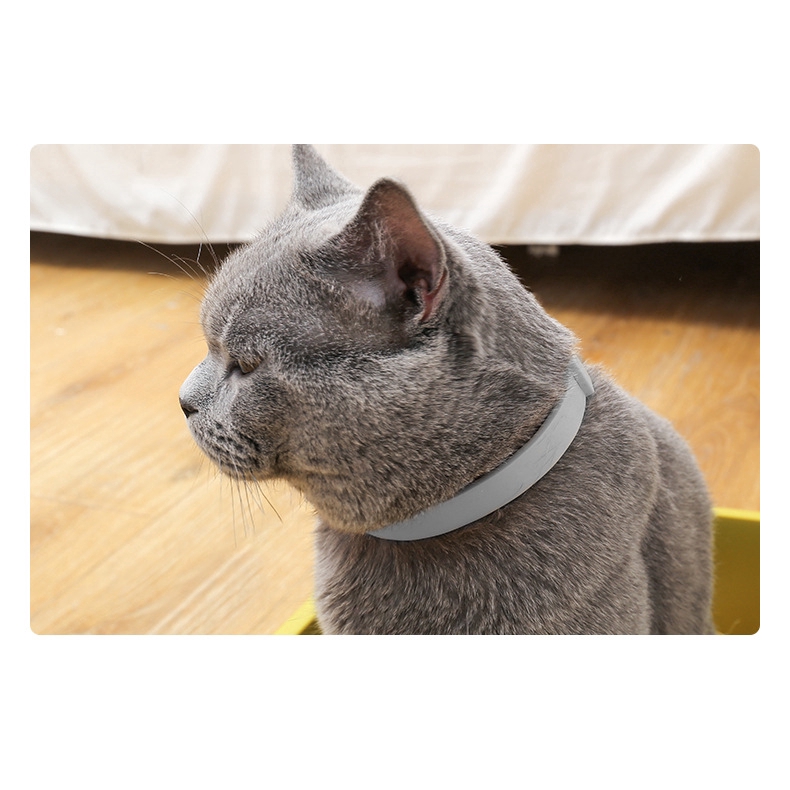 Cat Chice Repellent Cổ áo có thể được điều chỉnh Thú cưng