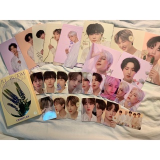 Ảnh photocard official Candylab nhóm NCT DREAM Renjun Jaemin Jeno Jisung Chenle Hot sauce Ridin