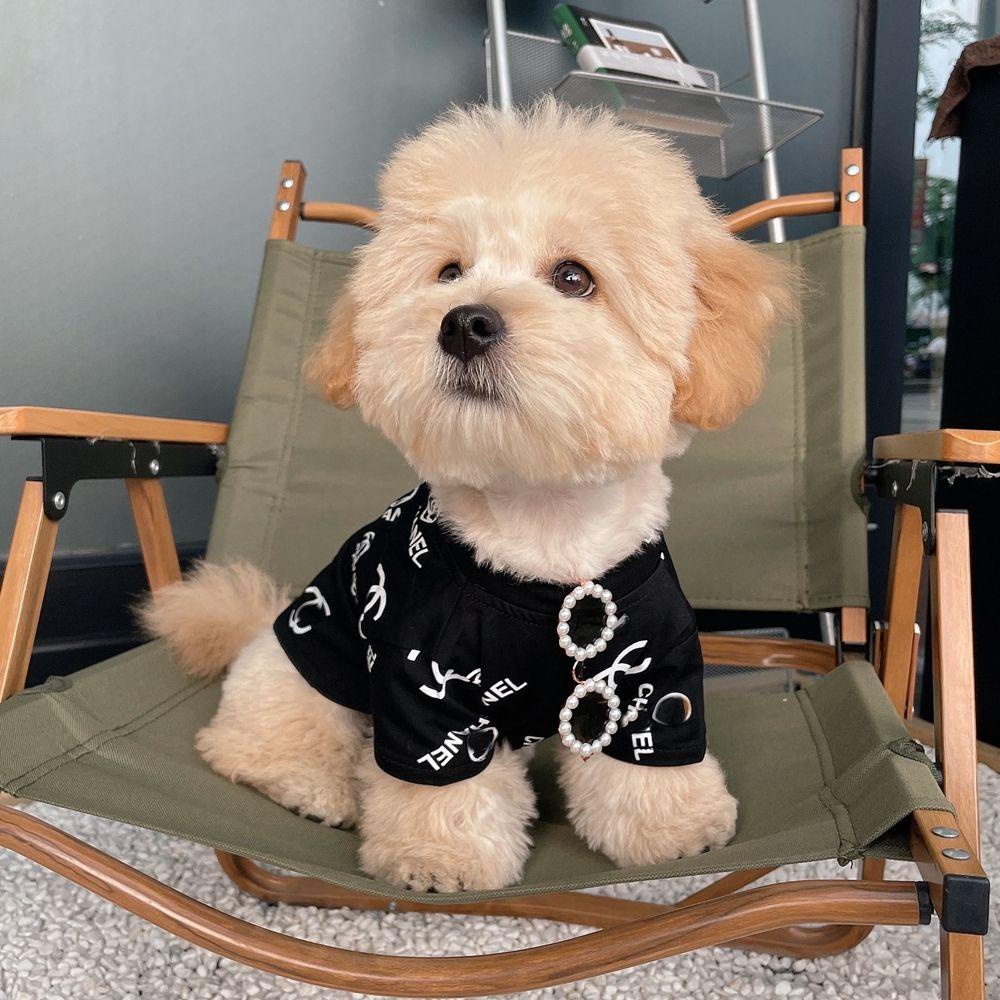 Kính Mát Mắt Mèo AUGUSTINA Dùng Chụp Ảnh Dành Cho Thú Cưng