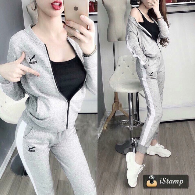 Bộ puma