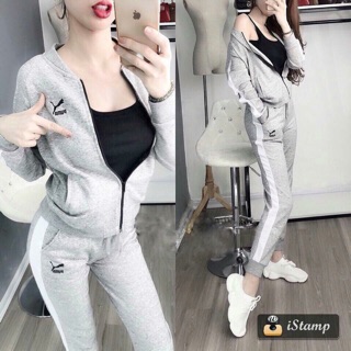 Bộ puma