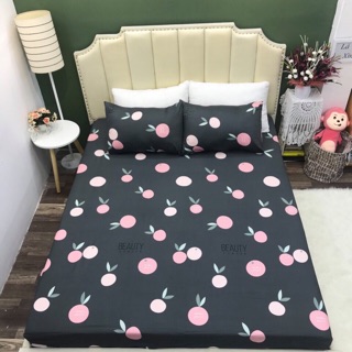 Set Ga-Vỏ gối cotton 100%