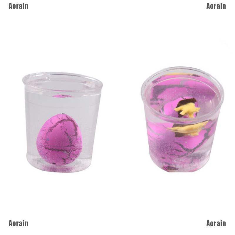 Aor Trứng Expanded Độc Đáo