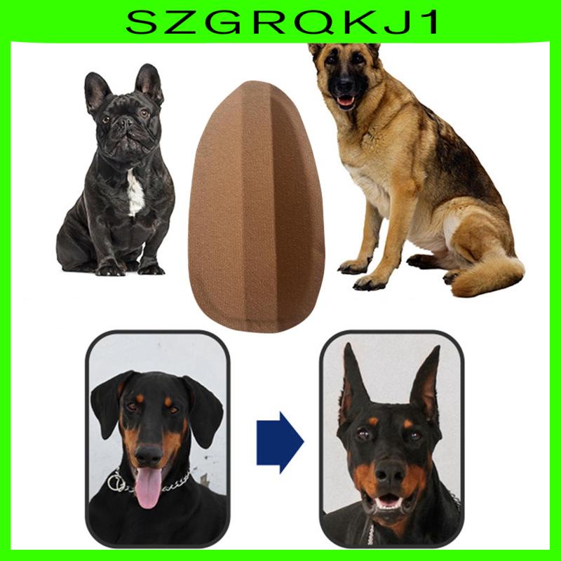 Giá Đỡ Tai Chó Đứng Cố Định Tai Chó Đức szgrqkj1