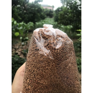 Muối chay Tây ninh 0,5kg