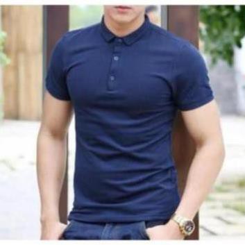 Áo thun cộc tay nam , Cổ Bẻ, chất liệu cotton, kiểu dáng slimfit,mát mẻ | BigBuy360 - bigbuy360.vn