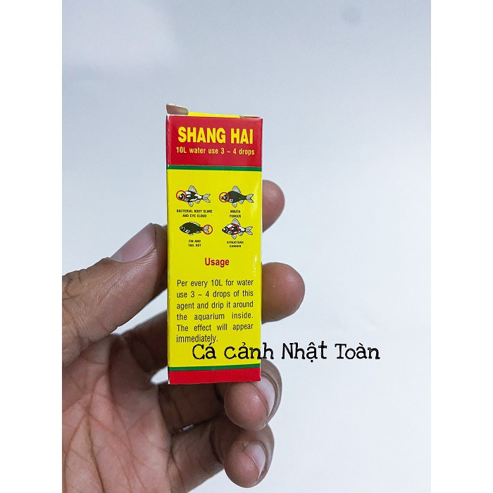 SẢN PHẨM HỖ TRỢ SỨC KHỎE CHO CÁ SHANGHAI