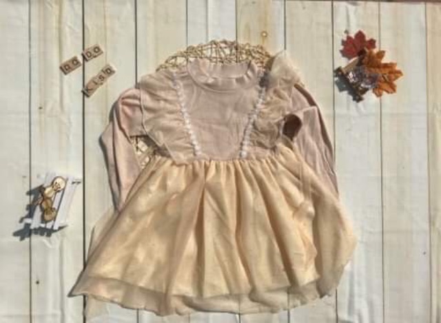 Váy mùa thu phong cách công chúa