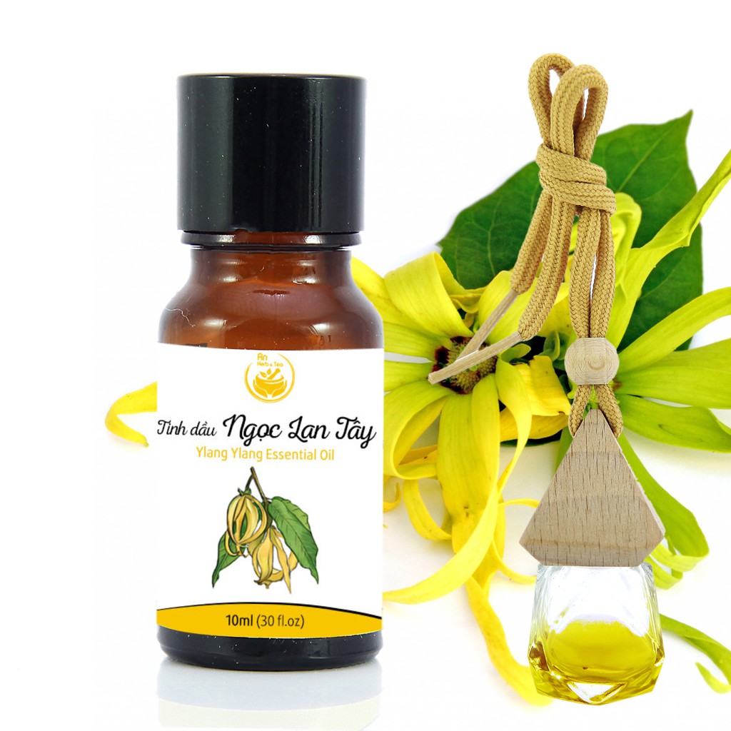 Tinh dầu ngọc lan tây (Ylang Ylang) thiên nhiên nguyên chất An Herb &amp; Tea