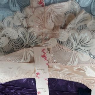 Combo 10 quần ren đùi cao cấp 2163