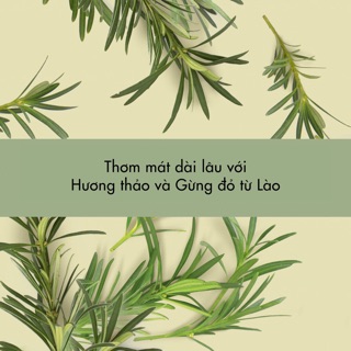 Kem Đánh Răng Love Beauty & Planet
