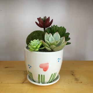 🌵 Bình hoa vải - sen đá nhiều loại kết hợp
