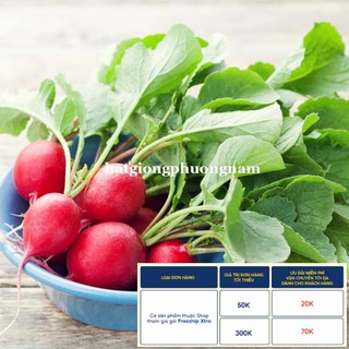 10GR - HẠT GIỐNG CỦ CẢI ĐỎ