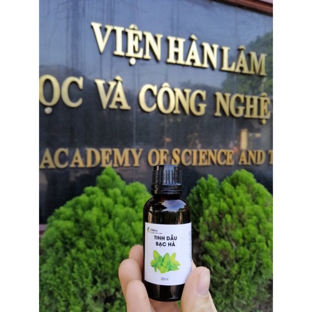 Tinh dầu Bạc Hà 10ml-50ml nguyên chất 100% tự nhiên của Viện Hàn Lâm KHCNVN