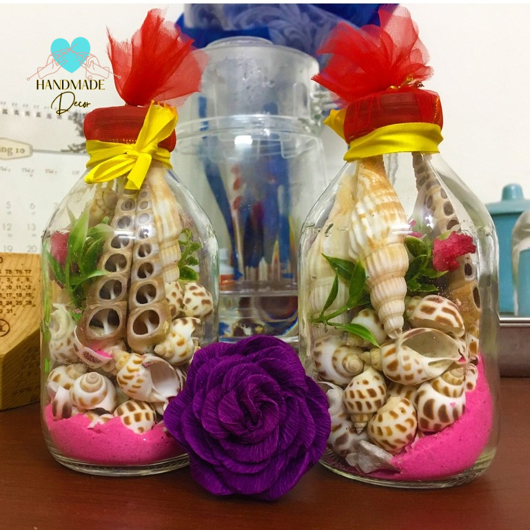 Lọ thủy tinh sưu tập vỏ ốc làm đồ lưu niệm, quà tặng, để bàn làm việc