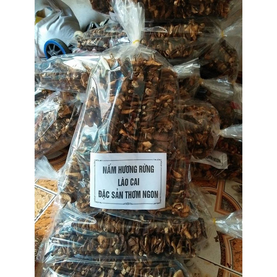 1kg nấm hương rừng đặc sản Tây Bắc
