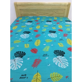drap 100% cotton  5 món đủ size 1m-1m8x2m