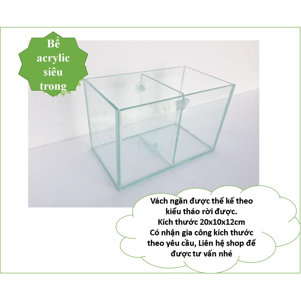 Hồ show cá 2 ngăn vuông 20x10x12 chất acrylic siêu trong
