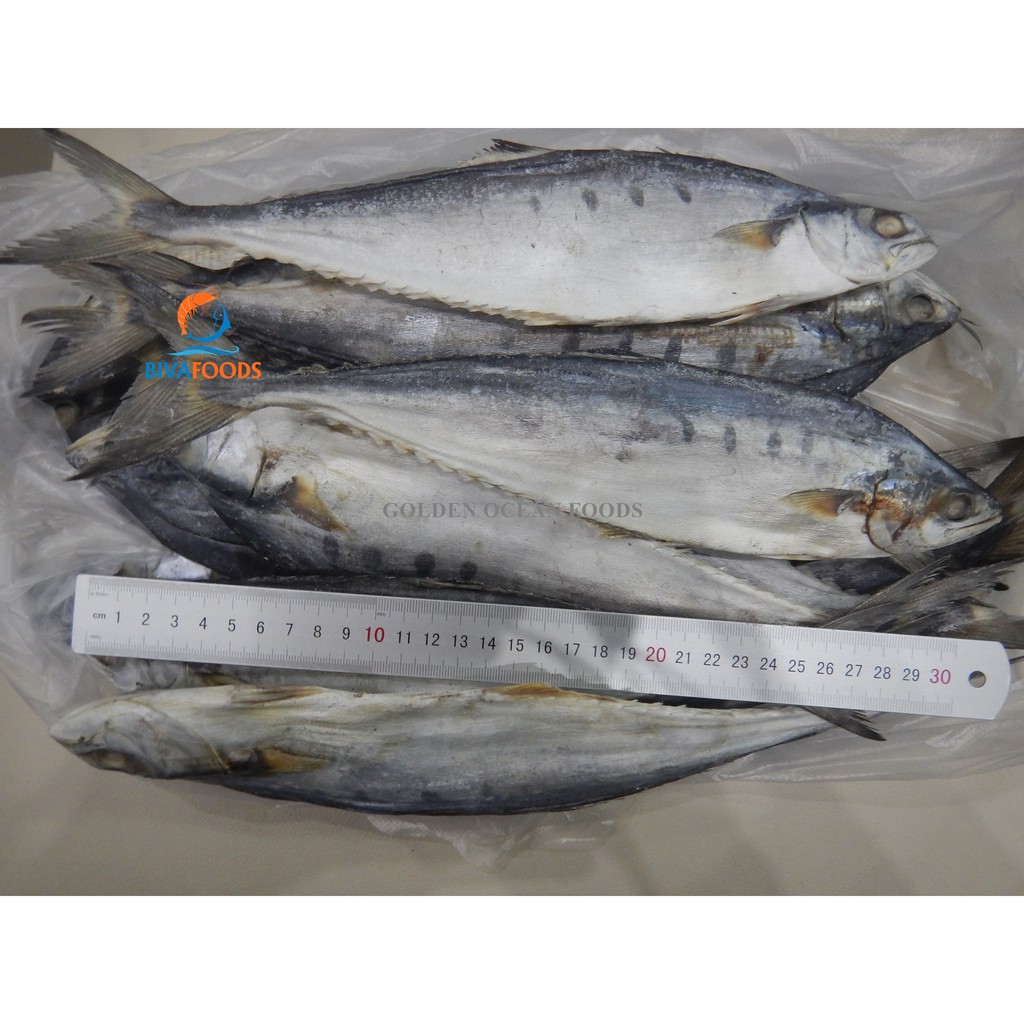 Khô Cá Bè Trang Nguyên Con 4-8 Con/1kg/Túi - Thực Phẩm BIỂN VÀNG | BigBuy360 - bigbuy360.vn