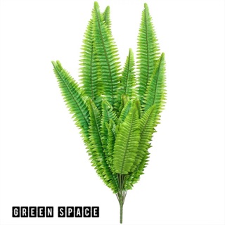 Cây dương xỉ giả 1m-1m2