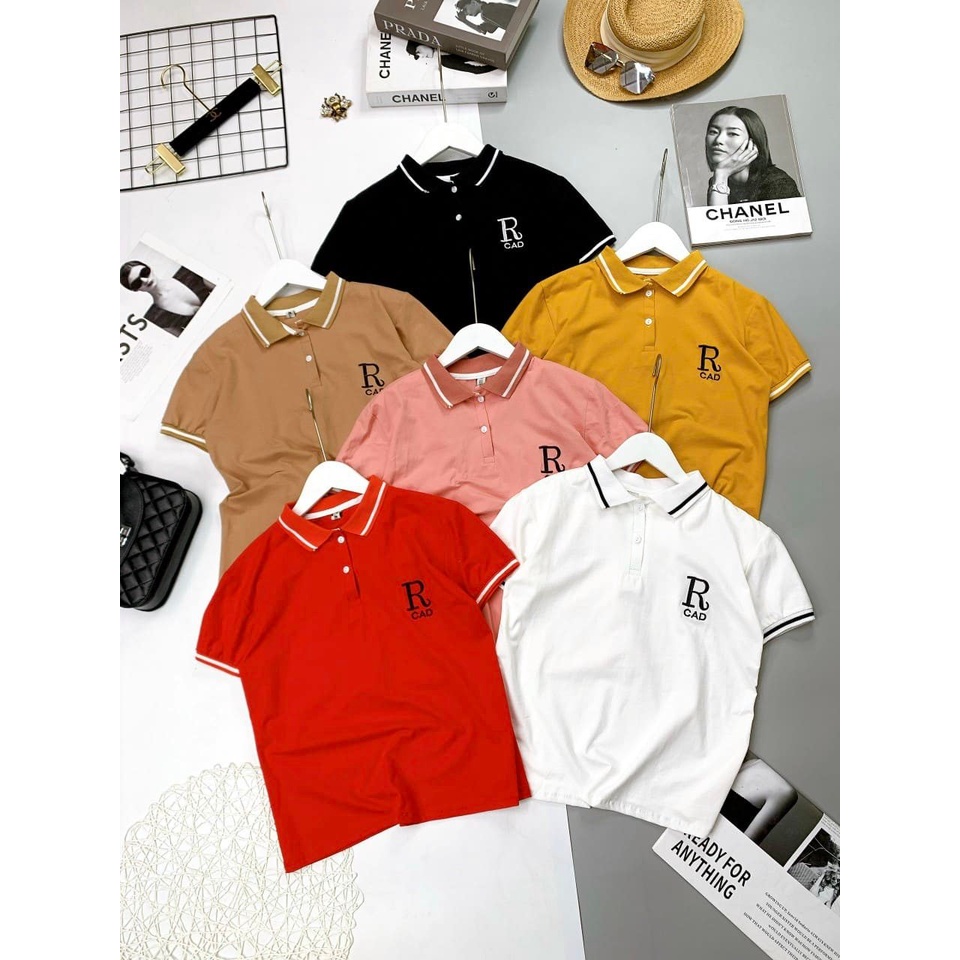 Áo thun body cổ bẻ thêu chữ đủ màu,nhiều mẫu , chất vải co giãn 4 chiều lên From tôn dáng MS34 - Phamtrang Shop