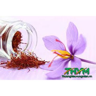 Nhuỵ hoa safron SN2019