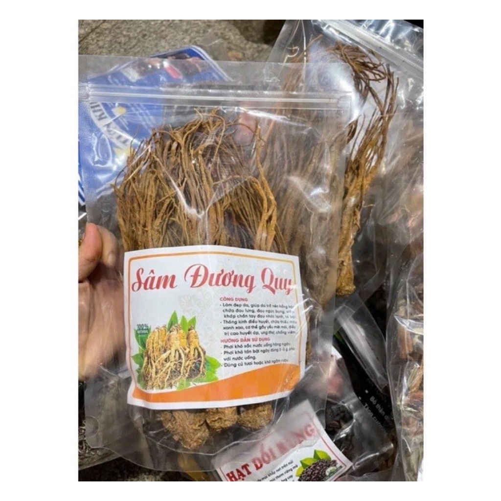 Sâm Đương Quy Khô Hàng Nguyên Củ To Đẹp  Hỗ Trợ Phong Thấp, Thiếu Máu, Huyết Áp Thấp Và Bồi Bổ Cơ Thể | BigBuy360 - bigbuy360.vn