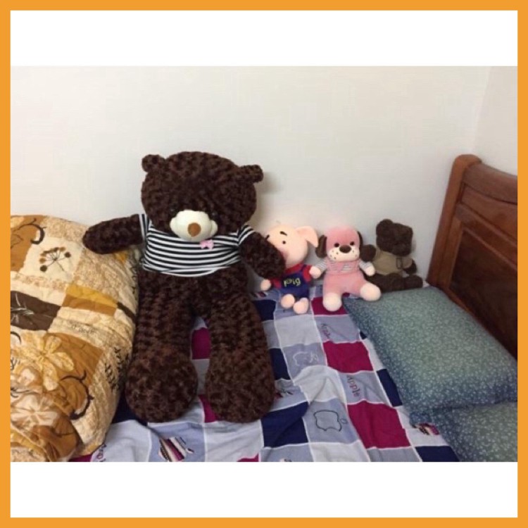 Gấu bông to teddy khổng lồ ôm ngủ cho người lớn kích thước 1m5 1m8