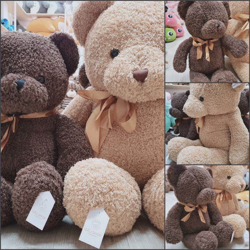 [Bán Chạy] Gấu bông Teddy lông chỉ Shy nơ cao cấp (Hình thật chụp tại shop CMT8)