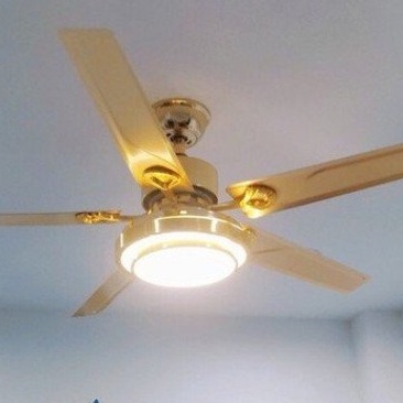 Quạt Trần Đèn Giá Tốt QTD505, Quạt Trần Trang Trí Phòng Khách,Động Cơ DC,Siêu Tiết Kiệm Điện