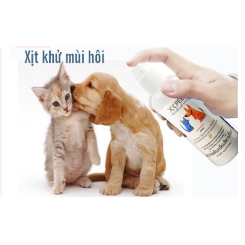 Xịt Thơm Khử Mùi Cát Mèo VÀ Mùi Hôi Cơ Thể Chó MÈo - XC PET 100ml (thailand)