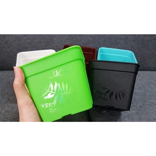 Chậu vuông trồng sen đá 11cm nhiều màu.